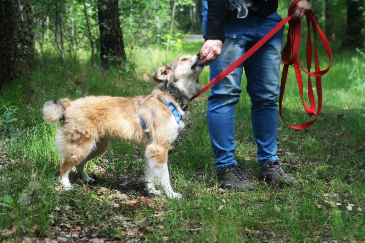 DSC_8748 Halszka