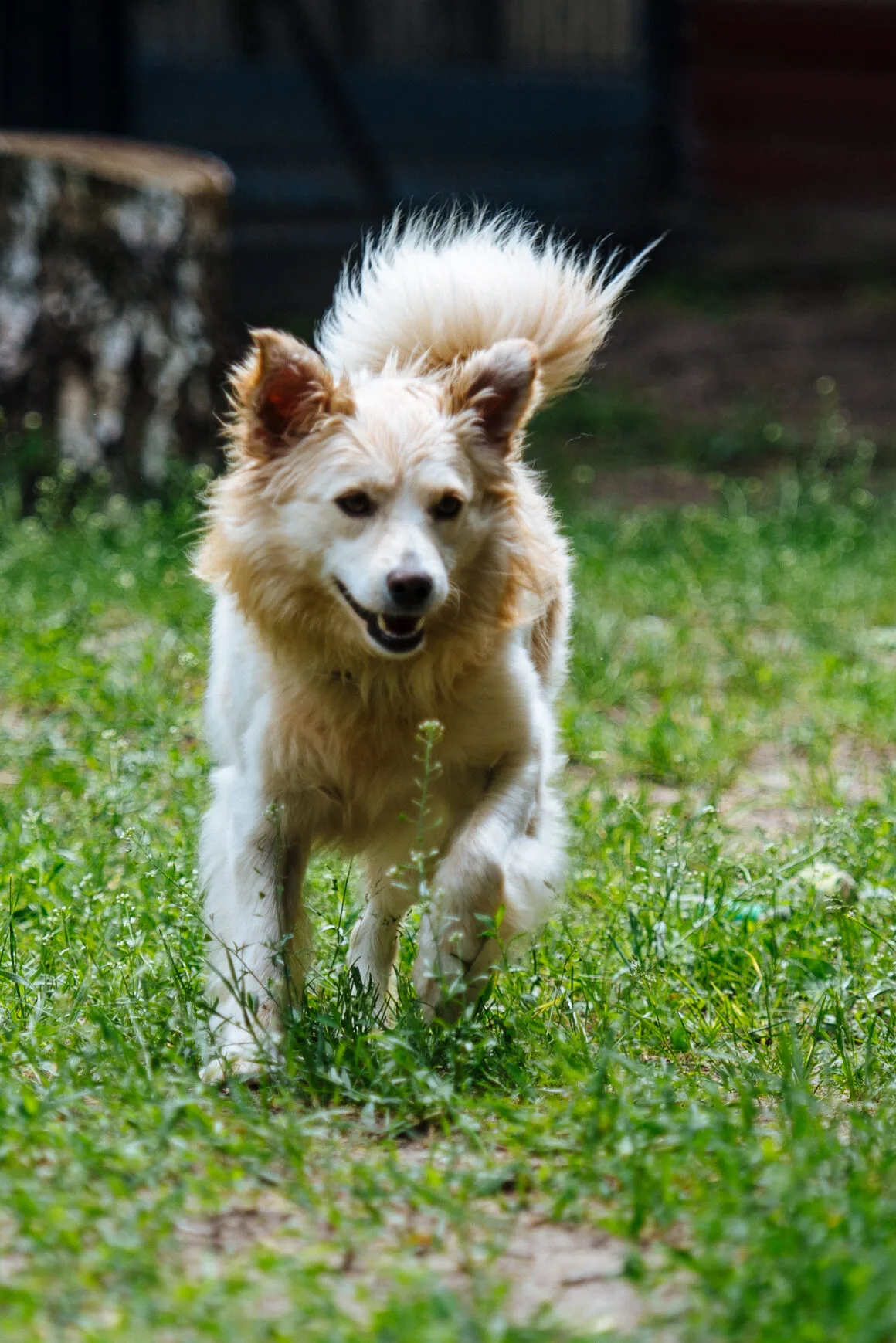 DSC_3202 Milton