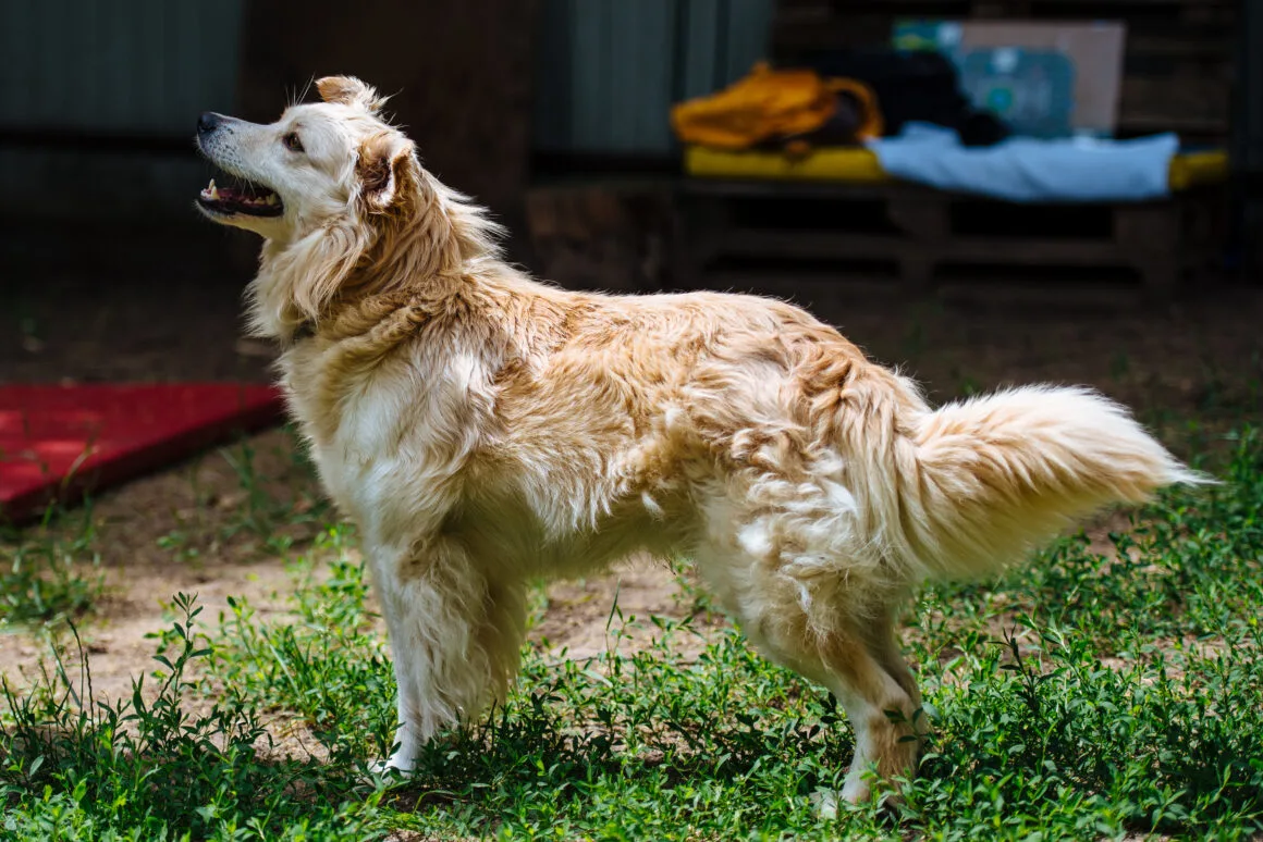 DSC_3310 Milton