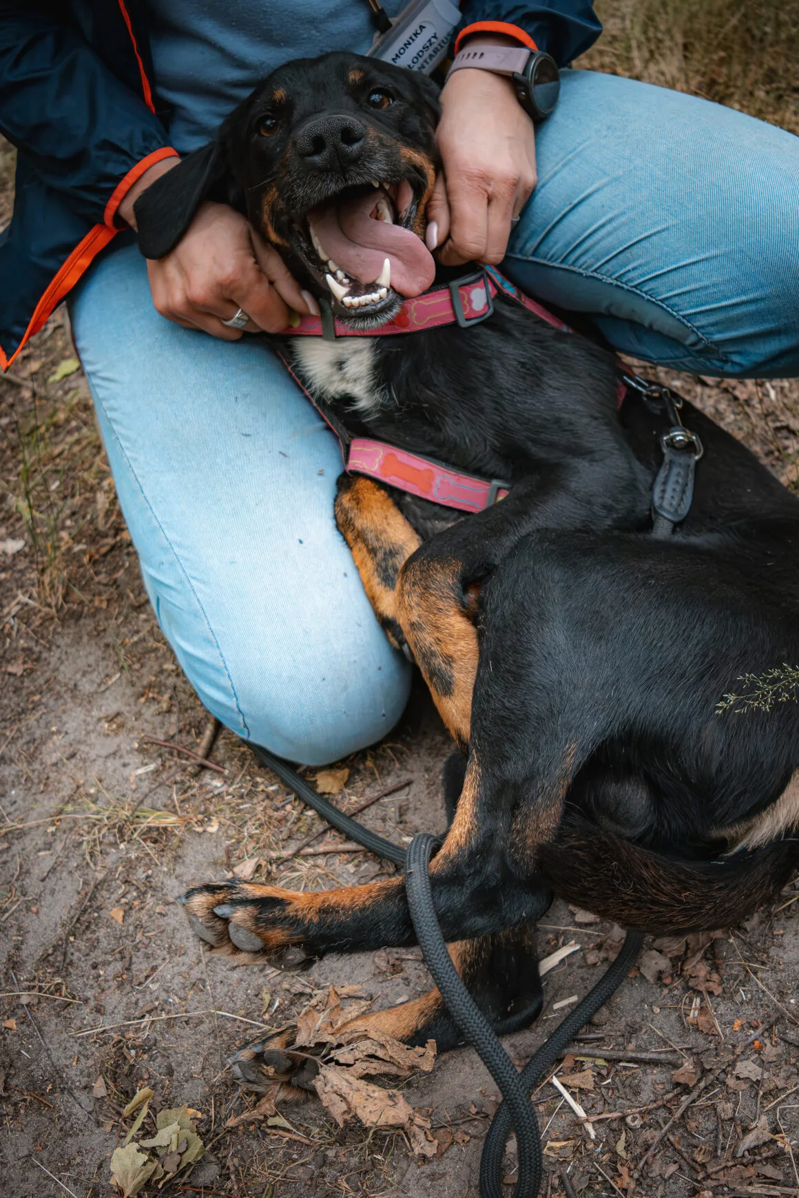 4_1 (1) Hero