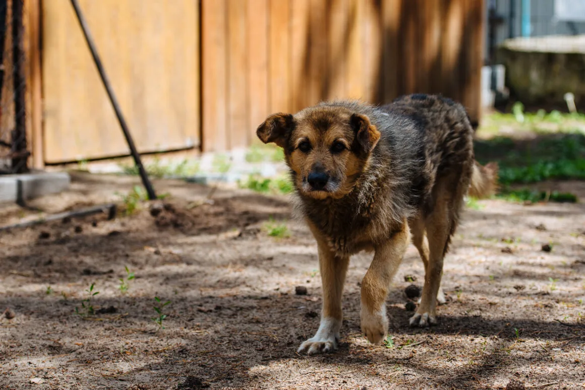 DSC_2967 Otto