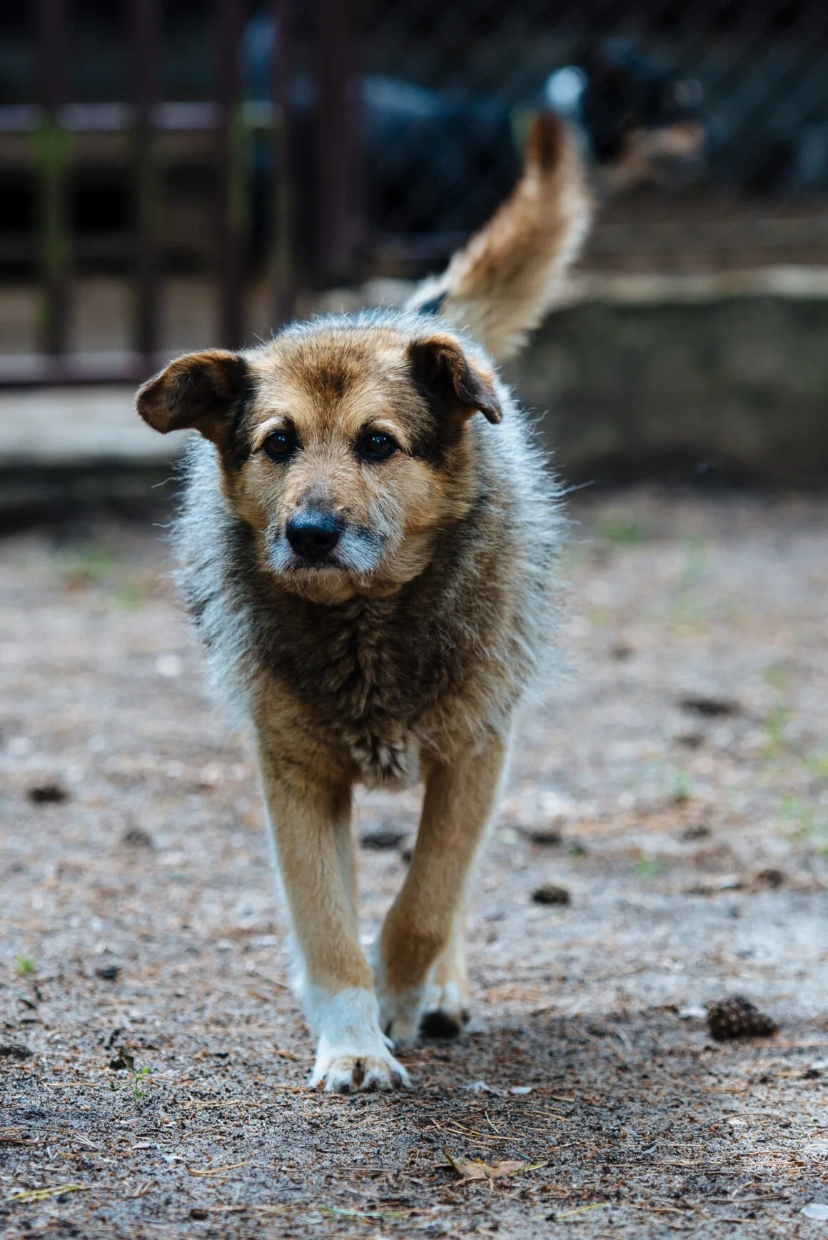 DSC_2986 Otto