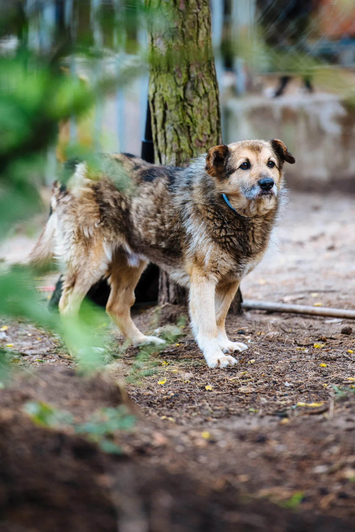 DSC_3048 Otto