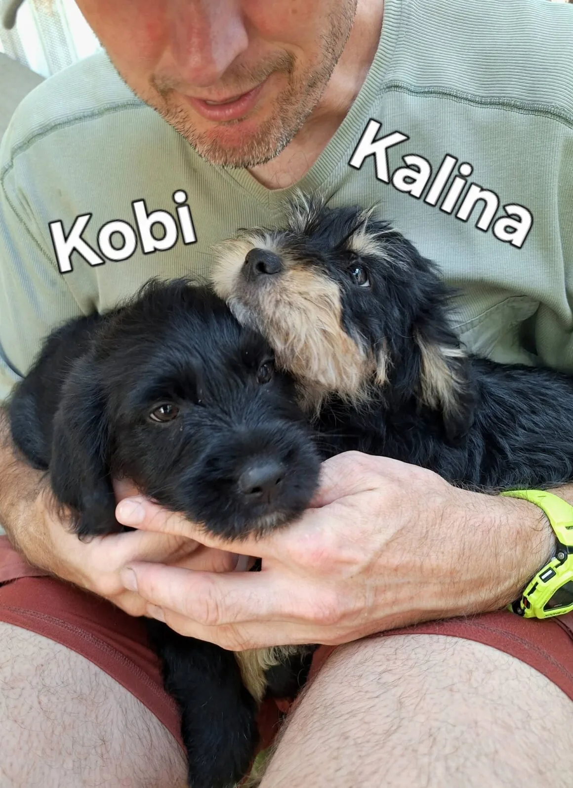 751157722_10241267557209013_7915391070371769155_n Kobi