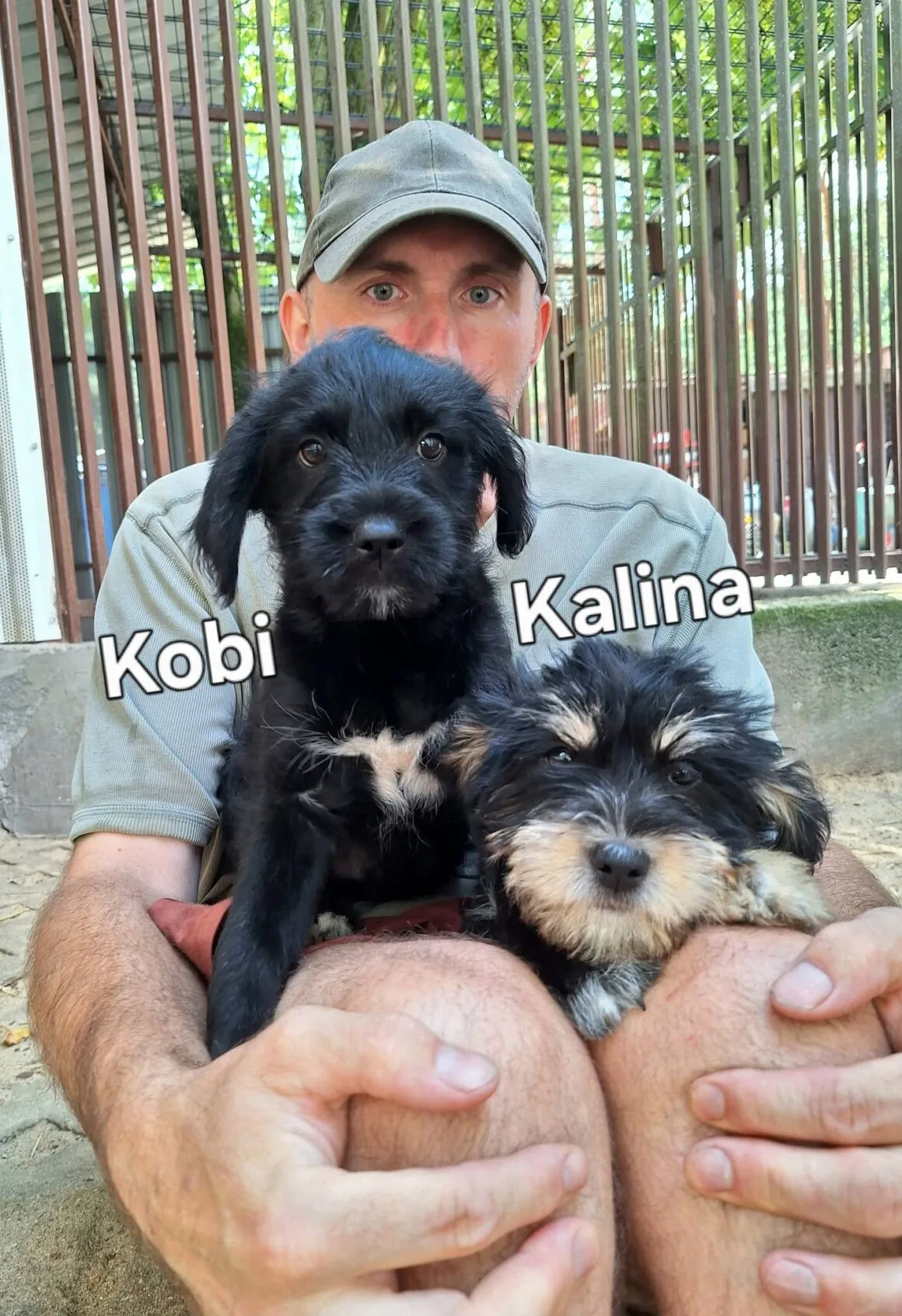 751563692_10241267557809028_6827655080488270642_n Kobi