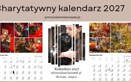 Messenger_creation_CCD5FA4A-1D3E-460A-BB5D-B548386F6318 Charytatywny kalendarz na 2027 r.