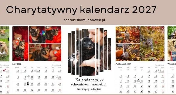 Messenger_creation_CCD5FA4A-1D3E-460A-BB5D-B548386F6318 Charytatywny kalendarz na 2027 r.