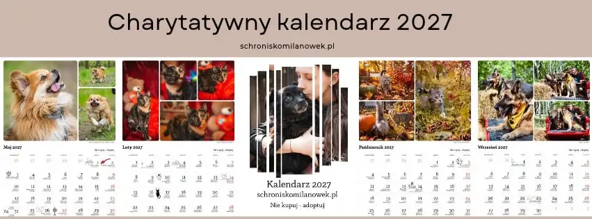 Messenger_creation_CCD5FA4A-1D3E-460A-BB5D-B548386F6318 Charytatywny kalendarz na 2027 r.
