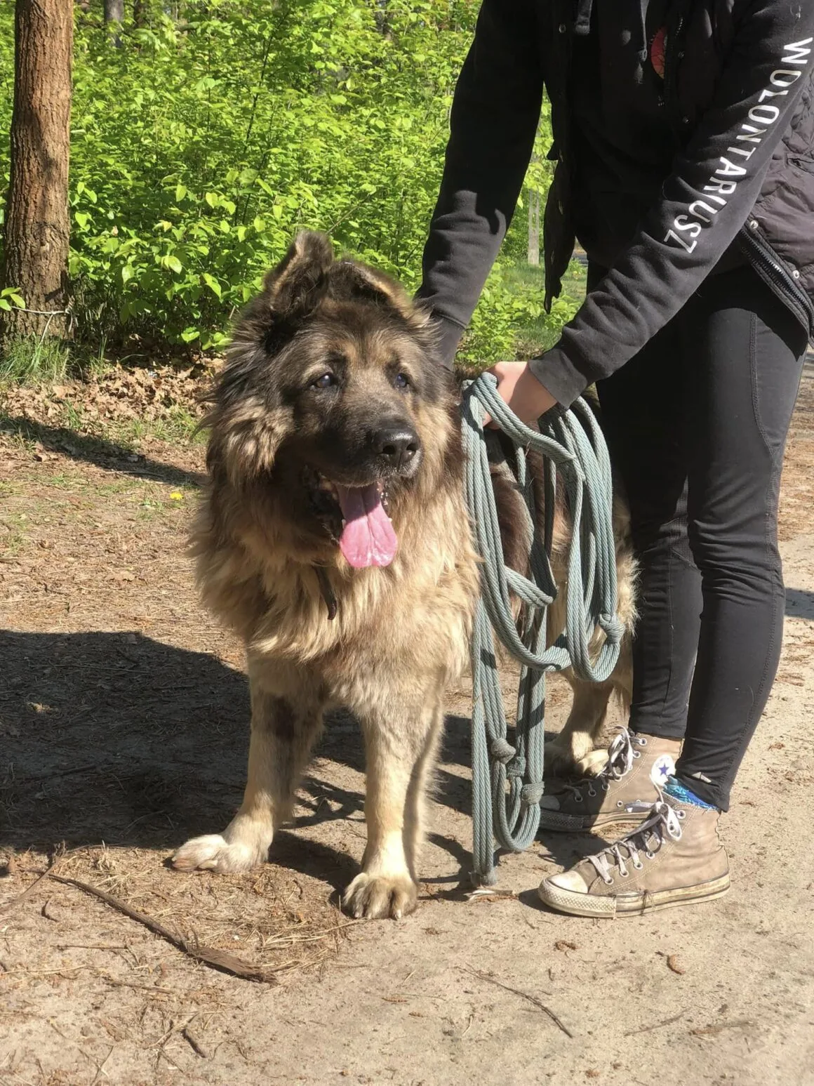 Aslan