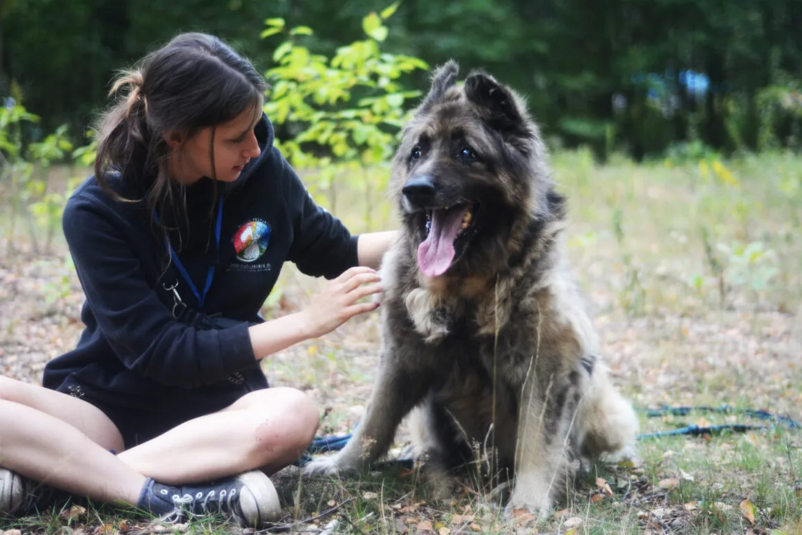 Aslan