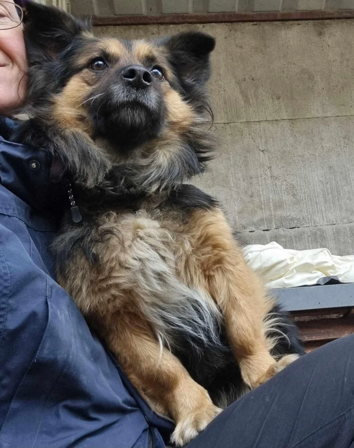 Pajo