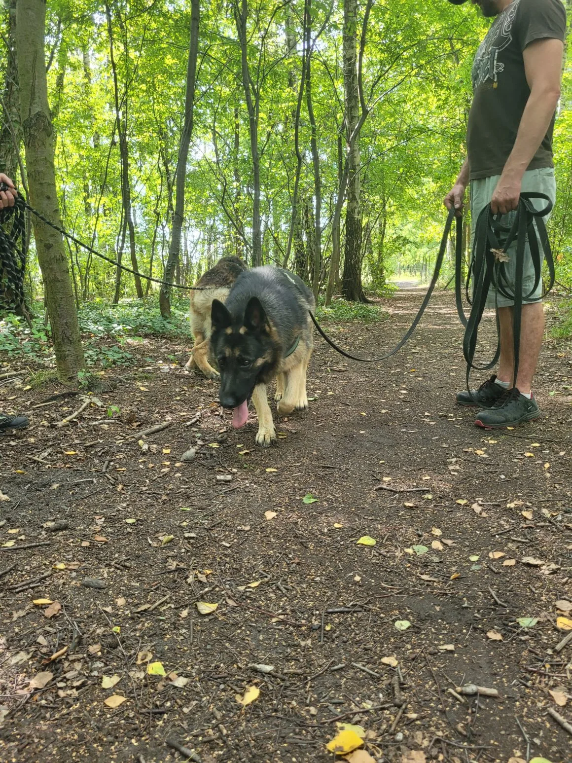 Reks i Kira