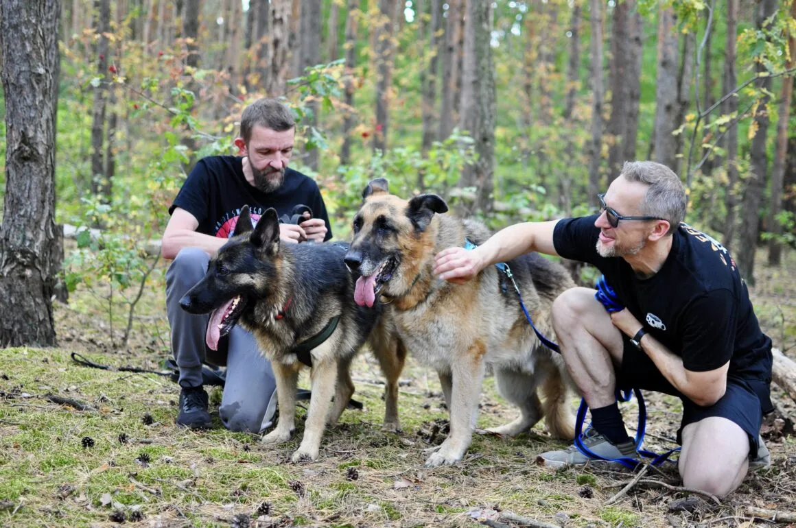Reks i Kira