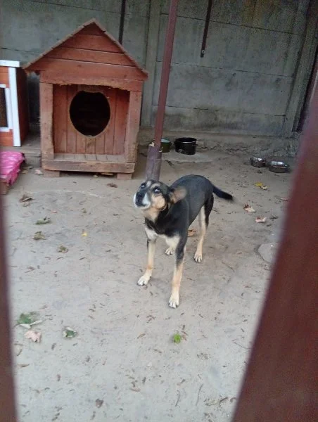 Zula