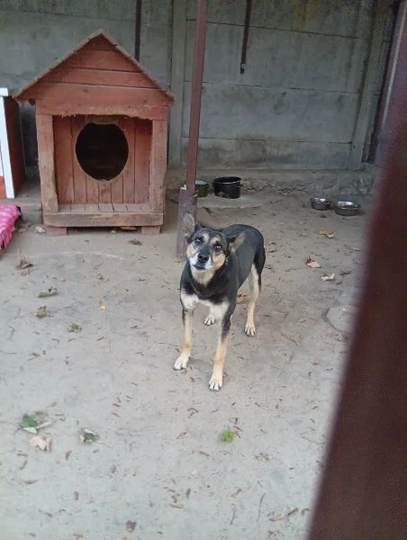 Zula