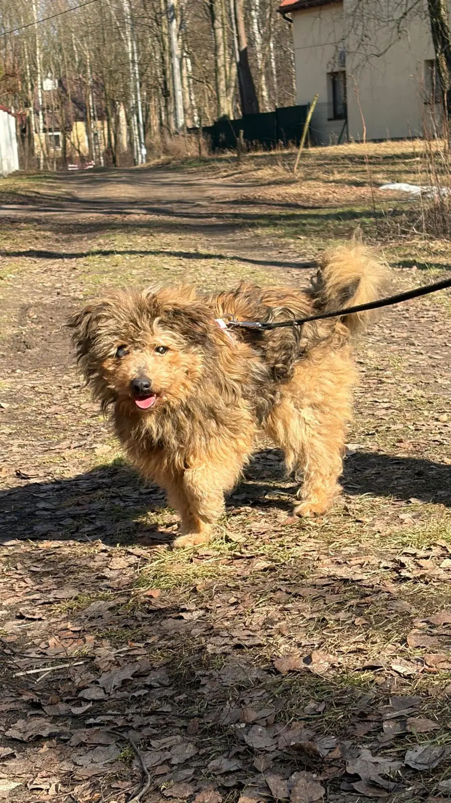 Odin