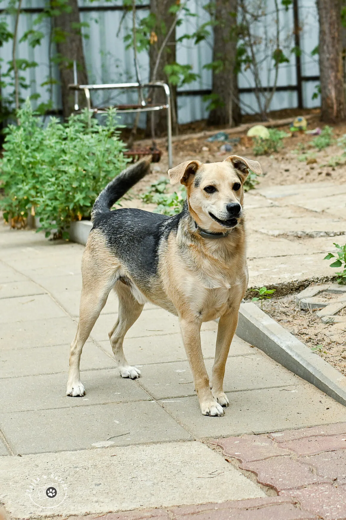 Bryzio