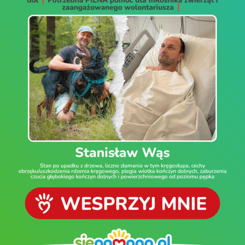 Nasz wolontariusz potrzebuje pomocy