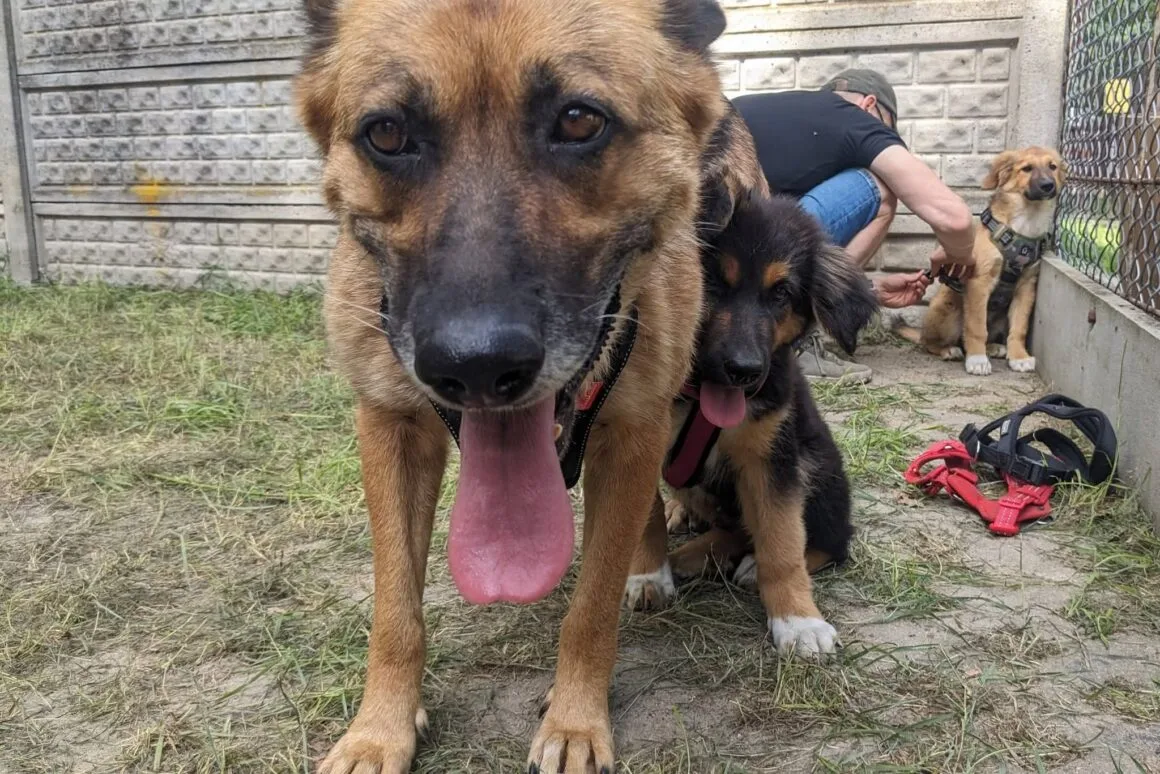 Zita