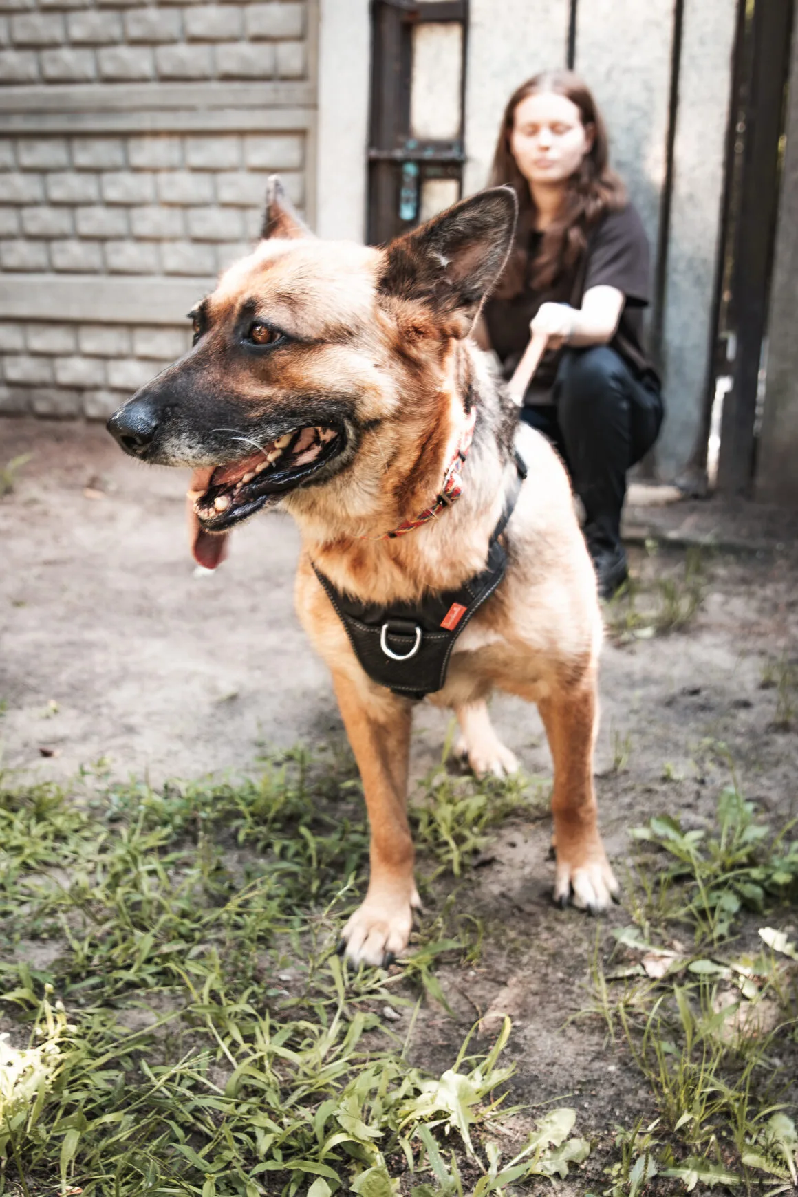 Zita