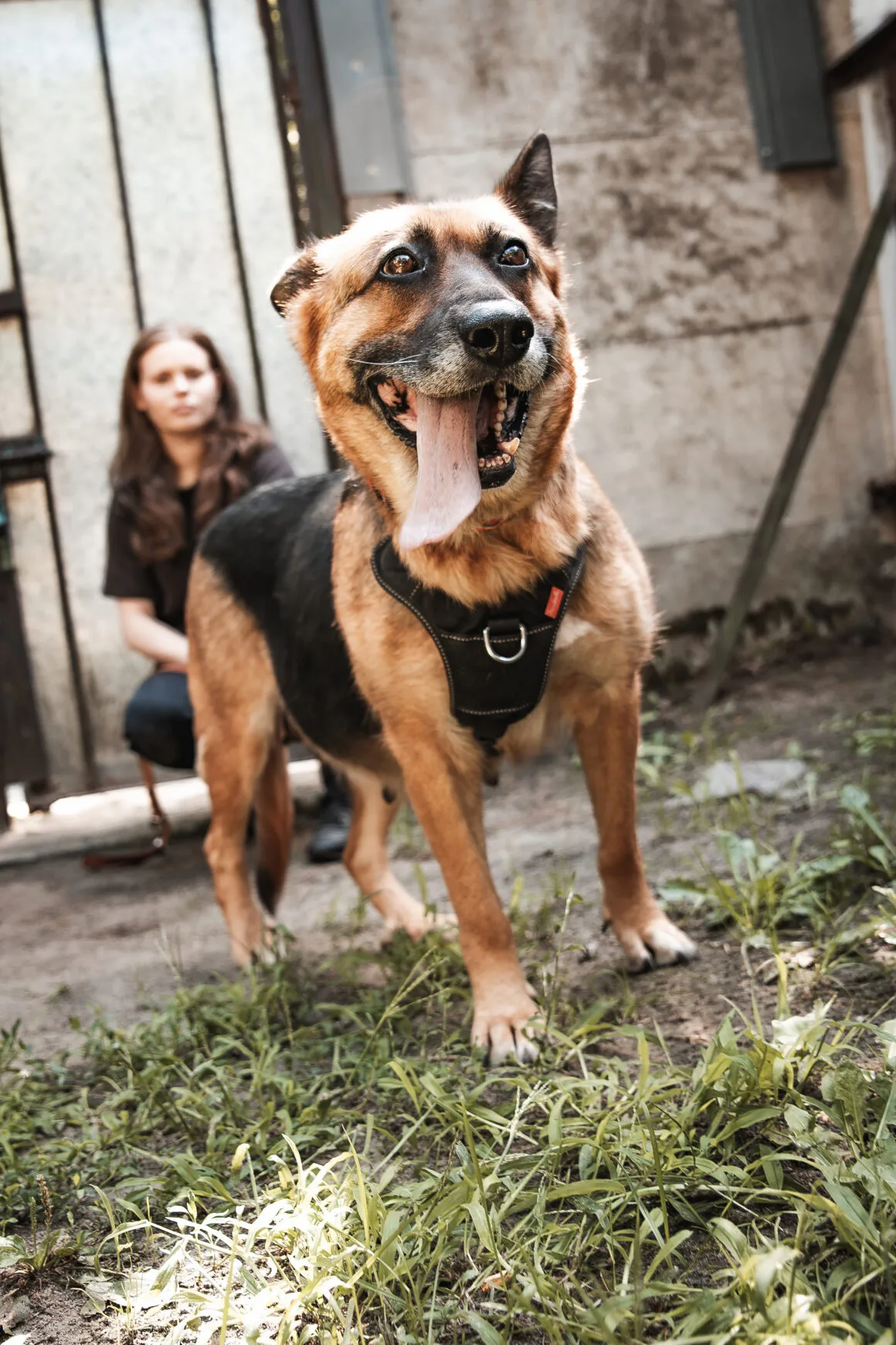 Zita