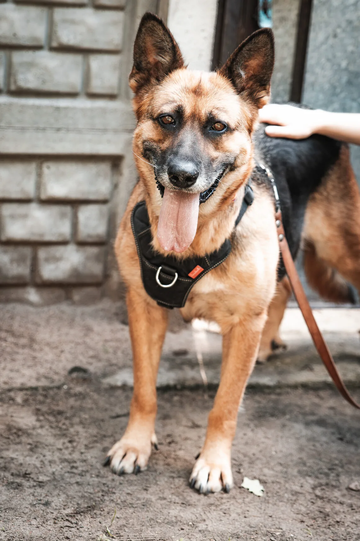 Zita