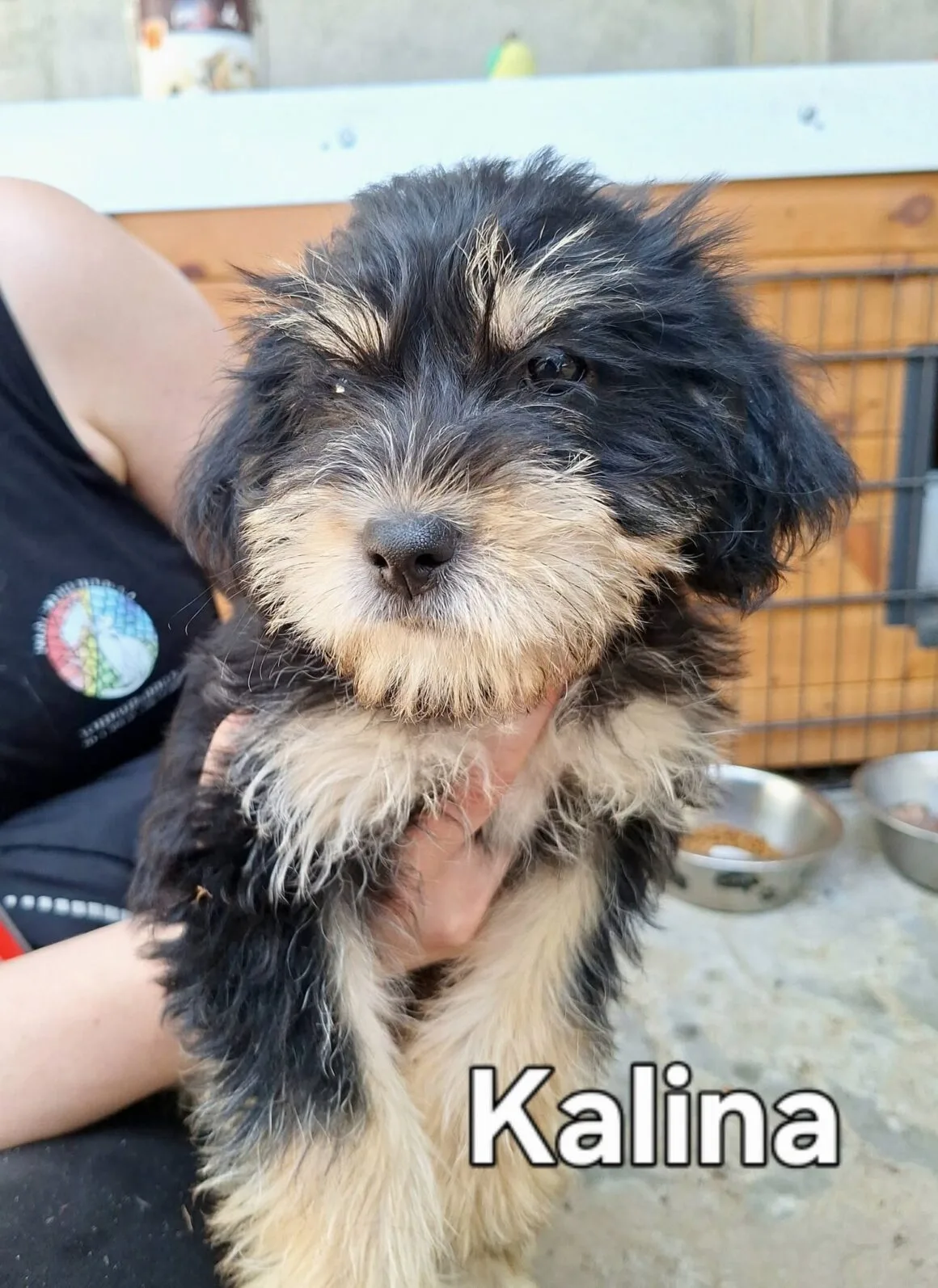 Kalina