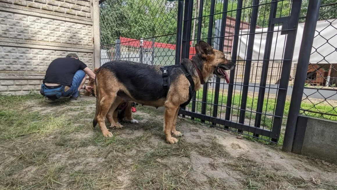 Zita