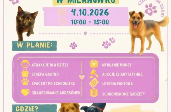 IX Dzień Otwarty w schronisku w Milanówku
