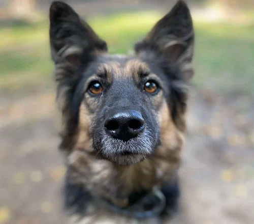 Lupita