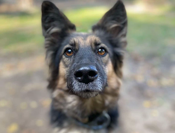 Lupita