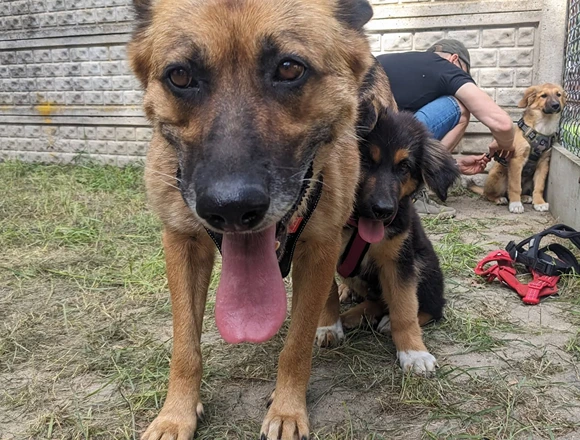 Zita