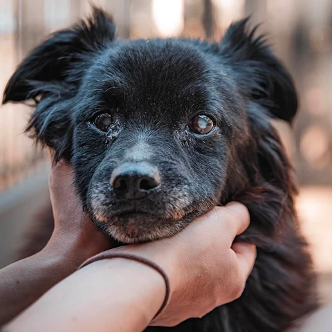 771679231_1862658044708529_5741099906961323033_n (1) Arno